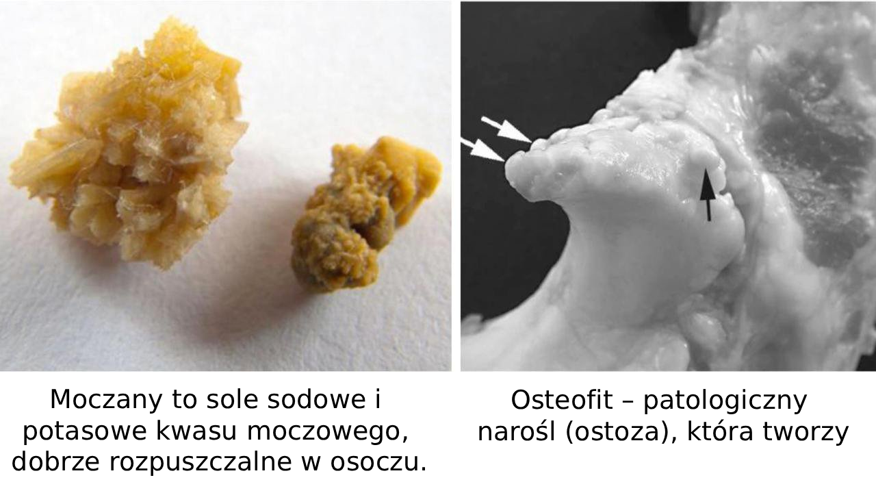 Фото наукового дослідження
